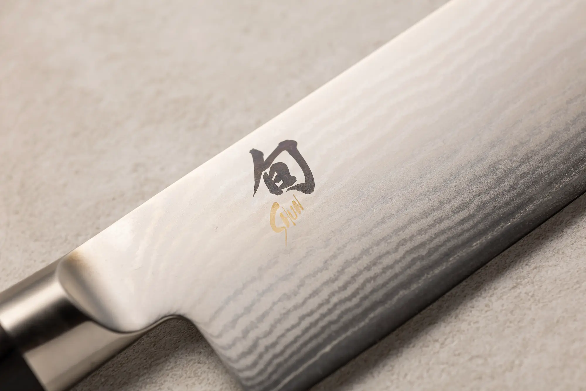 Kai Shun gyuto (chef`s) 250 mm - slika 3